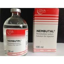 Buy Nembutal 100ml, Nembutal Sodium Solution 50 mg/ml, Nembutal Sodium Solution 100 mg/ml, Nembutal Sodium Solution 1000 mg/ml per 20ml